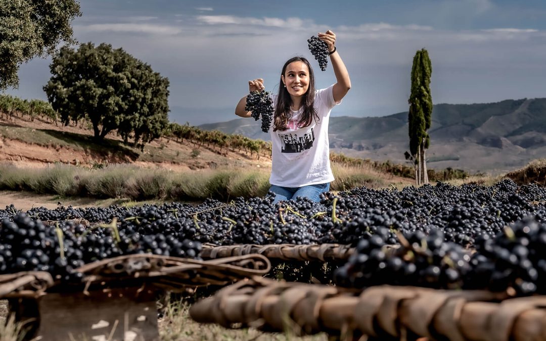 Tempranillo: Un poco de historia en la evolución del vino de Rioja