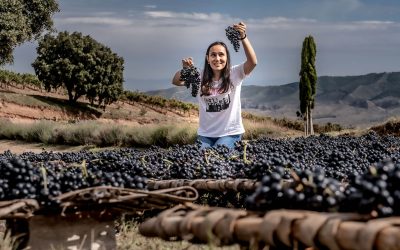Tempranillo: Un poco de historia en la evolución del vino de Rioja