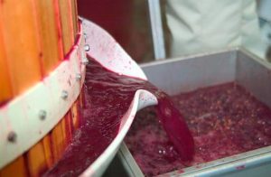 Sangrado del mosto Rosado de Lágrima