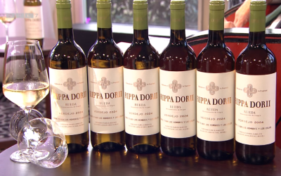 Rippa Dorii verdejo: el blanco que conquista Países Bajos