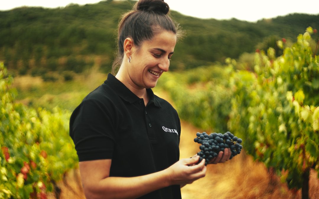 Vídeo ‘La vendimia en Queirón’
