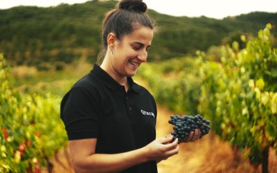 Vídeo ‘La vendimia en Queirón’