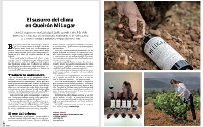 El susurro del clima en Mi Lugar: un reportaje apasionado en Mi Vino