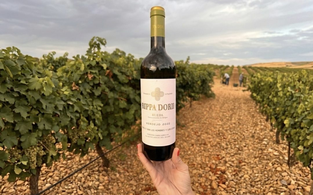 Decanter otorga 92 puntos a nuestro Rippa Dorii verdejo 2025